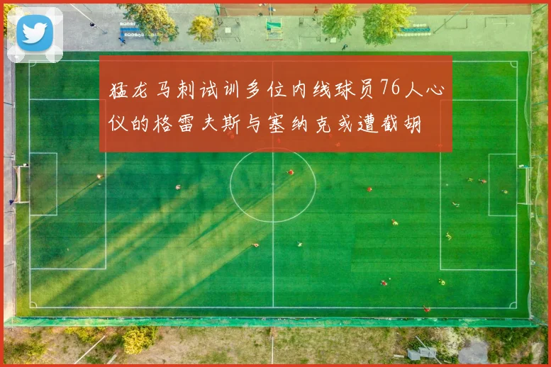 猛龙马刺试训多位内线球员76人心仪的格雷夫斯与塞纳克或遭截胡