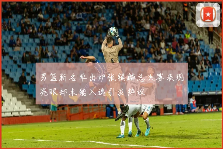 男篮新名单出炉张镇麟总决赛表现亮眼却未能入选引发热议