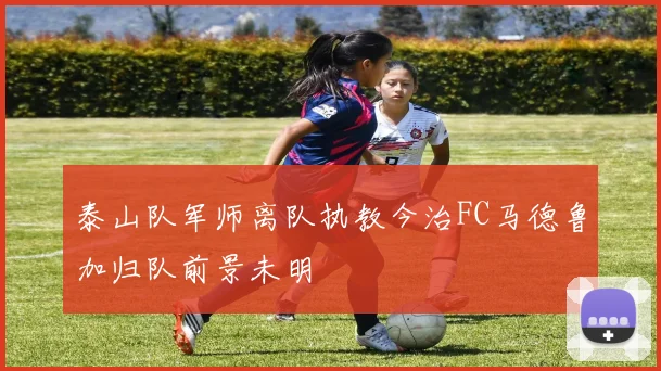 泰山队军师离队执教今治FC马德鲁加归队前景未明